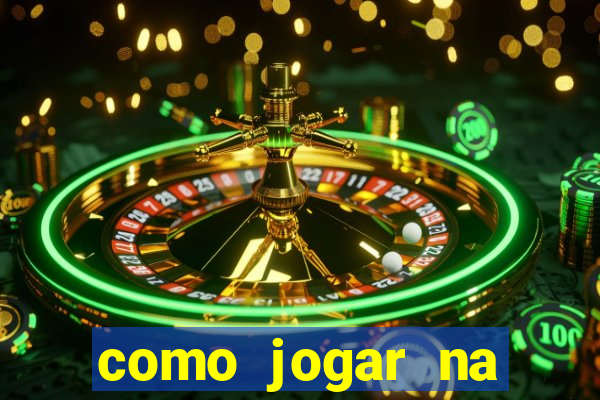 como jogar na lotinha do jogo do bicho