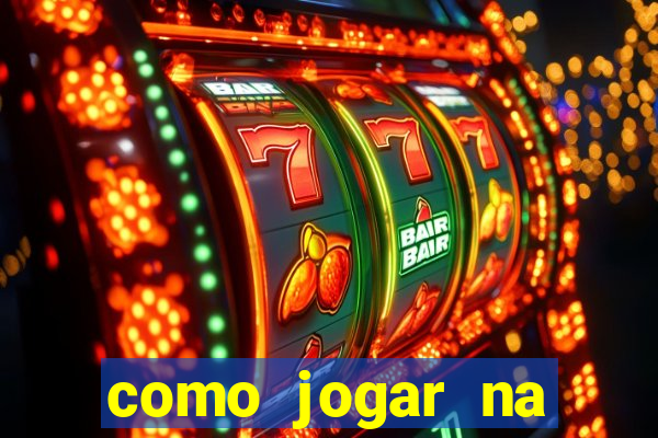 como jogar na lotinha do jogo do bicho