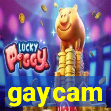 gaycam