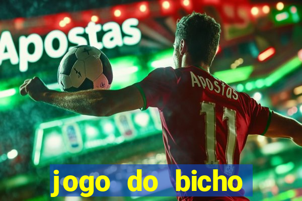 jogo do bicho tipos de apostas