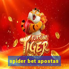 spider bet apostas