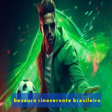 besouro rinoceronte brasileiro