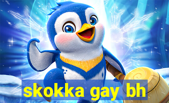 skokka gay bh