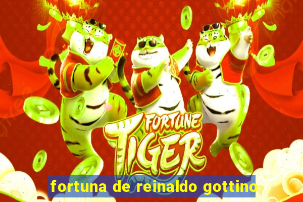 fortuna de reinaldo gottino