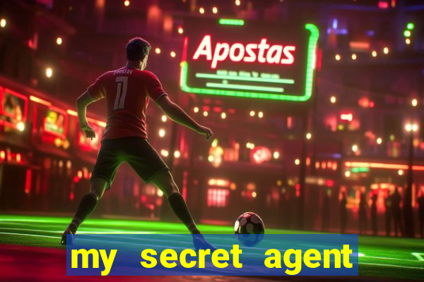 my secret agent husband legendado