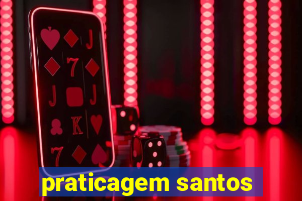 praticagem santos