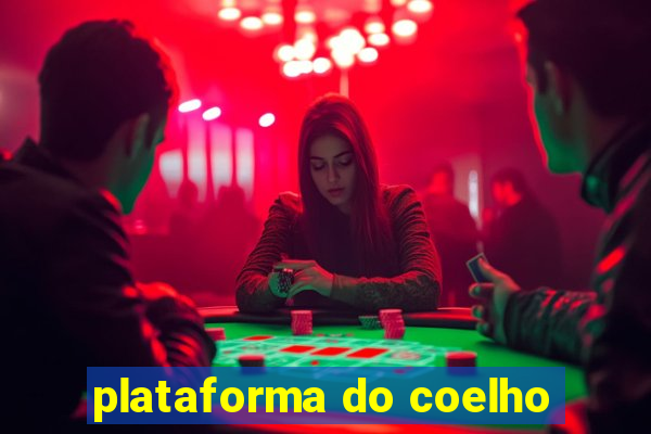 plataforma do coelho