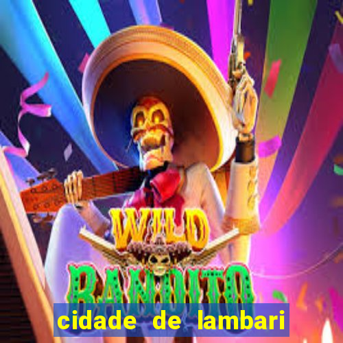 cidade de lambari sao paulo