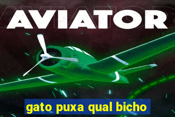 gato puxa qual bicho