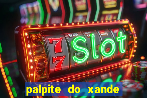 palpite do xande de hoje
