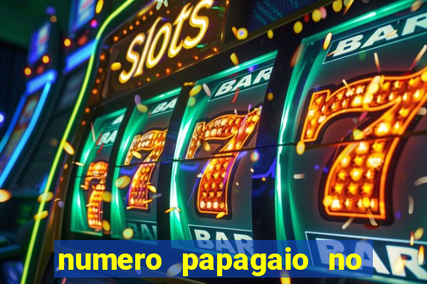 numero papagaio no jogo do bicho