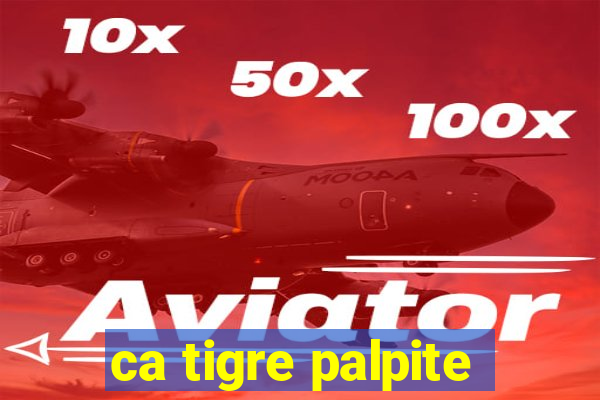ca tigre palpite