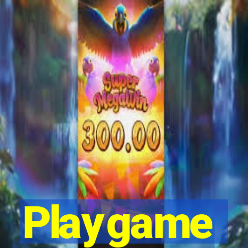 Playgame