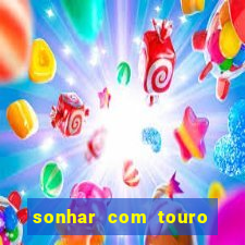sonhar com touro bravo no mundo espiritual