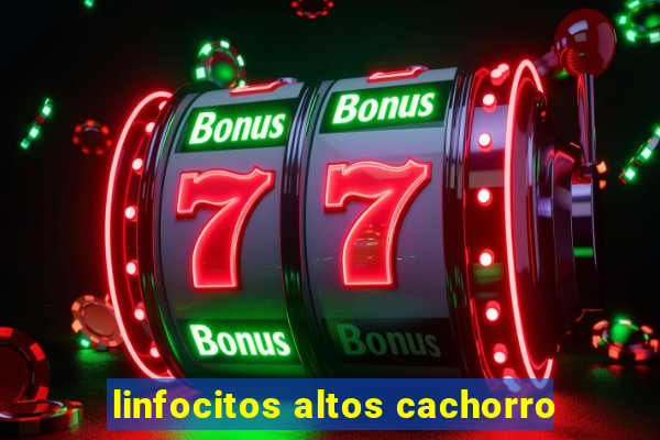 linfocitos altos cachorro