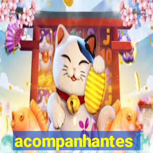 acompanhantes chamada de video