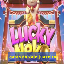 gatas do vale juazeiro