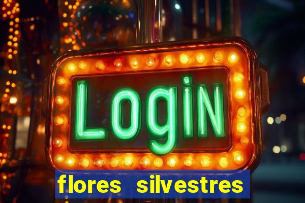 flores silvestres desbravadores desbravadores 25 flores silvestres e seus nomes