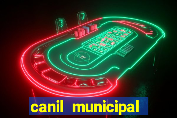 canil municipal porto alegre