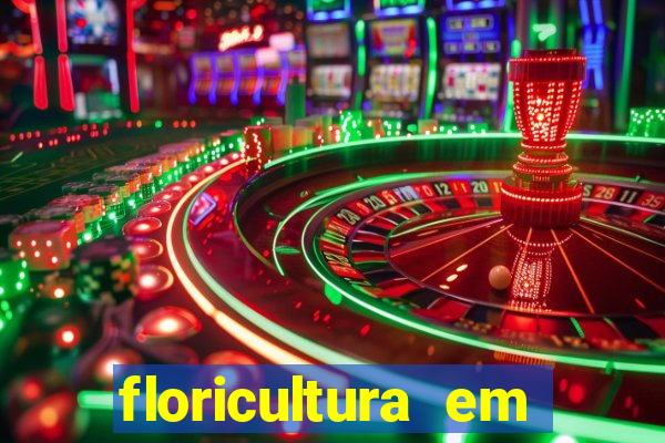 floricultura em franca sp
