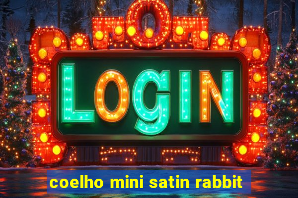 coelho mini satin rabbit