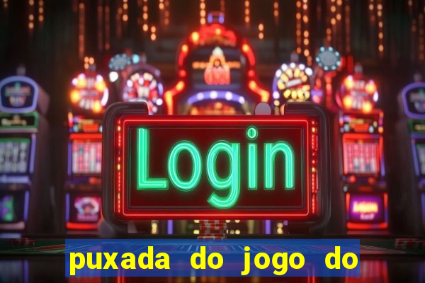 puxada do jogo do bicho da sueli