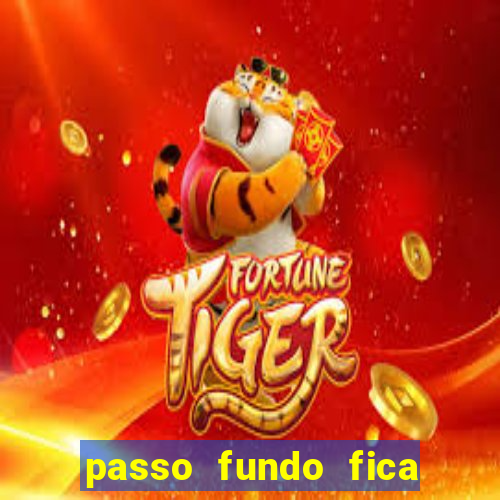 passo fundo fica perto de qual cidade
