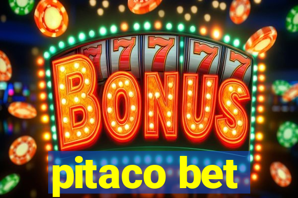 pitaco bet