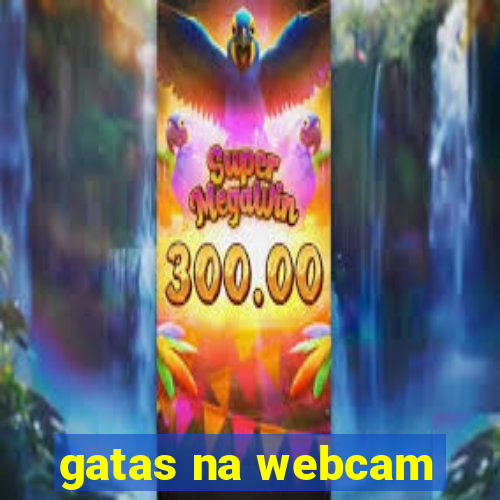 gatas na webcam