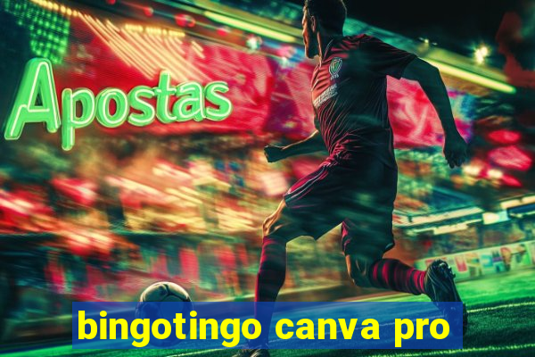 bingotingo canva pro