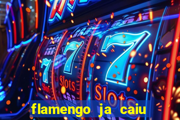 flamengo ja caiu para serie b