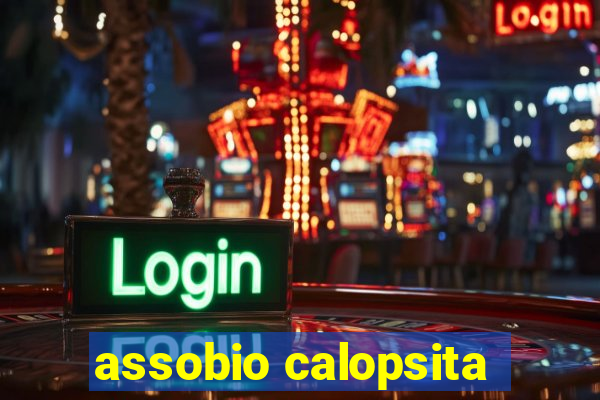 assobio calopsita
