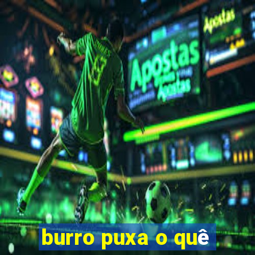 burro puxa o quê