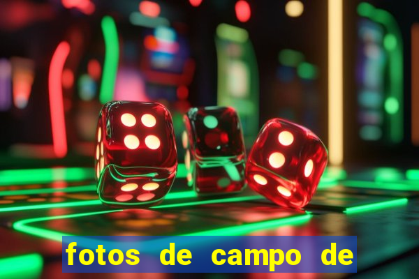 fotos de campo de futebol fake