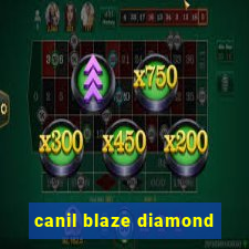 canil blaze diamond