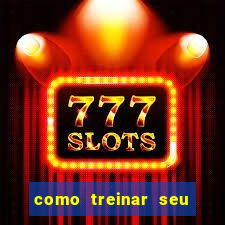 como treinar seu dragão especial de natal assistir